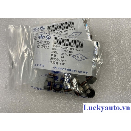 Phớt ghít xe Audi Q5_ 036109675